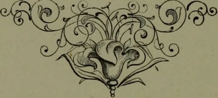 An illustration from The American dyer : a practical treatise on the coloring of wool, cotton, yarn & cloth.., 1873, leaf 97