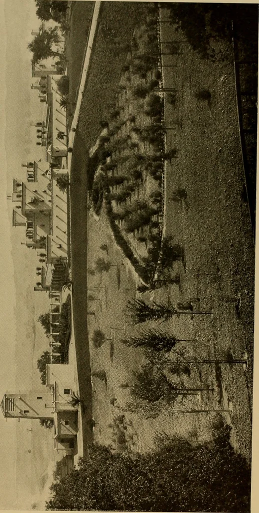 An illustration from American estates and gardens, 1904, leaf 242