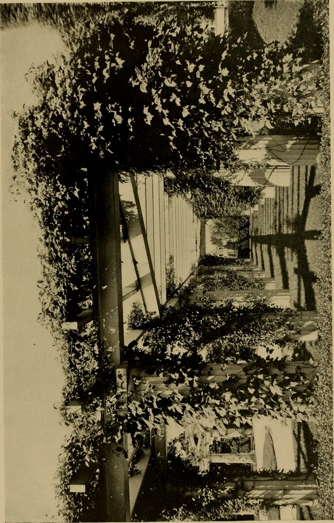 An illustration from American estates and gardens, 1904, leaf 275