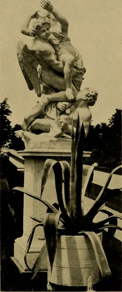 An illustration from American estates and gardens, 1904, leaf 310