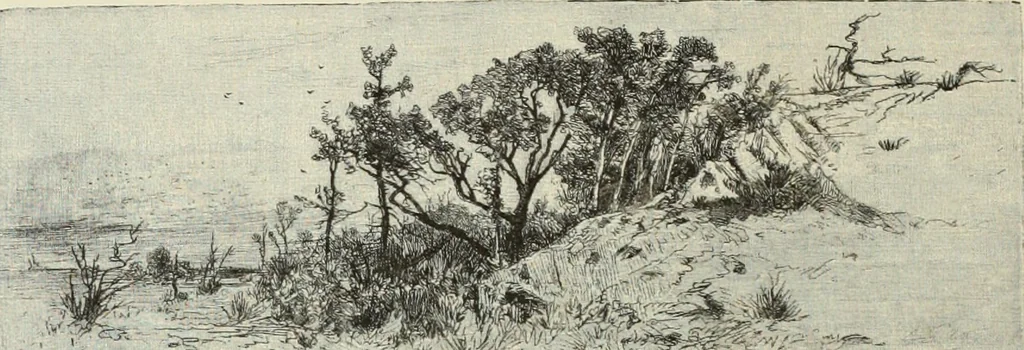 An illustration from American etchers. Reprinted from the Century magazine for February 1883, with a brief additional chapter from the New York Star, 1886, leaf 13