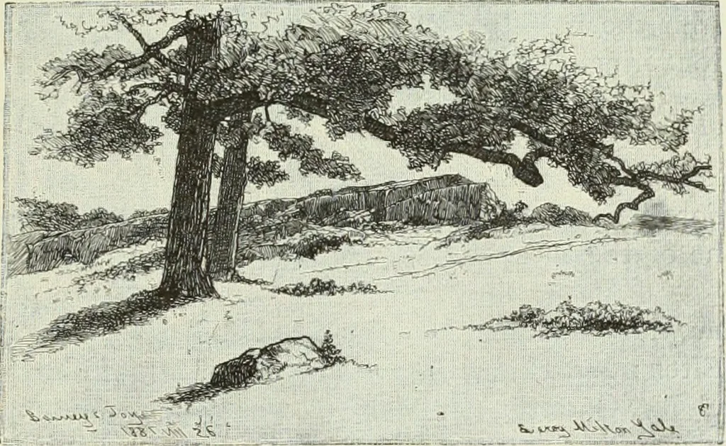 An illustration from American etchers. Reprinted from the Century magazine for February 1883, with a brief additional chapter from the New York Star, 1886, leaf 22