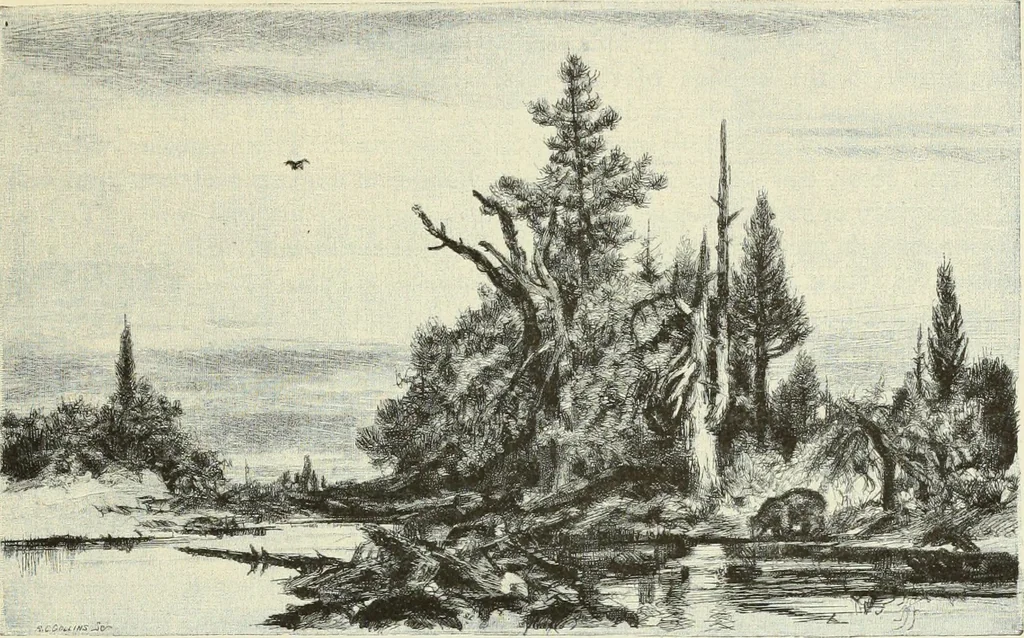 An illustration from American etchers. Reprinted from the Century magazine for February 1883, with a brief additional chapter from the New York Star, 1886, leaf 24