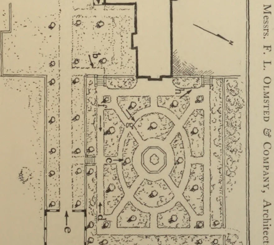 An illustration from American gardens;, 1902, leaf 259