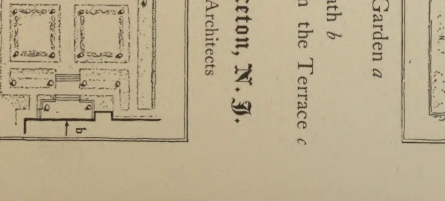 An illustration from American gardens;, 1902, leaf 265