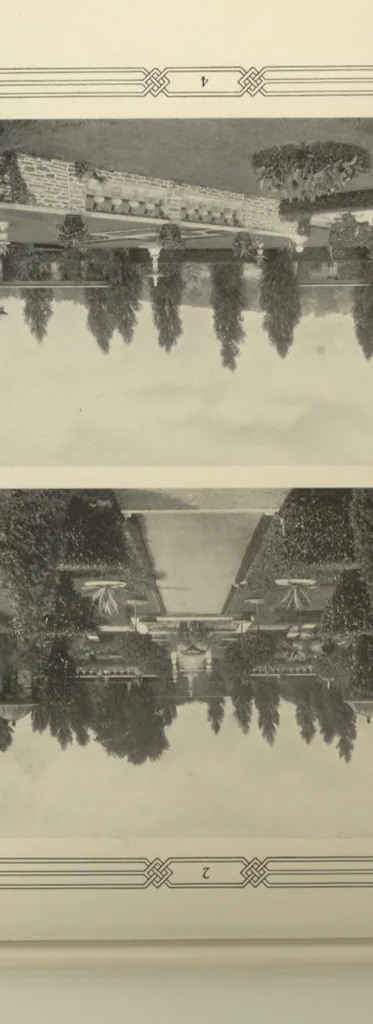 An illustration from American gardens;, 1902, leaf 82
