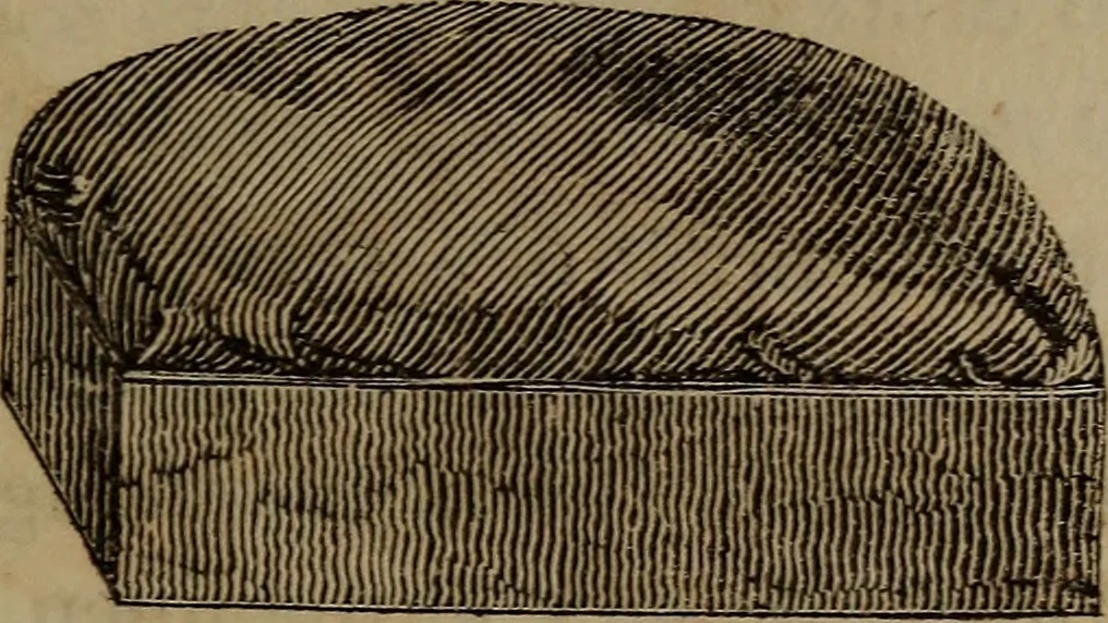 An illustration from American girl's book: or, Occupation for play hours, 1831, leaf 252
