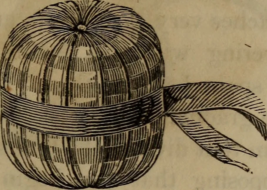 An illustration from American girl's book: or, Occupation for play hours, 1831, leaf 258
