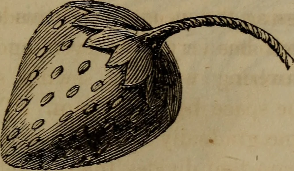 An illustration from American girl's book: or, Occupation for play hours, 1831, leaf 260