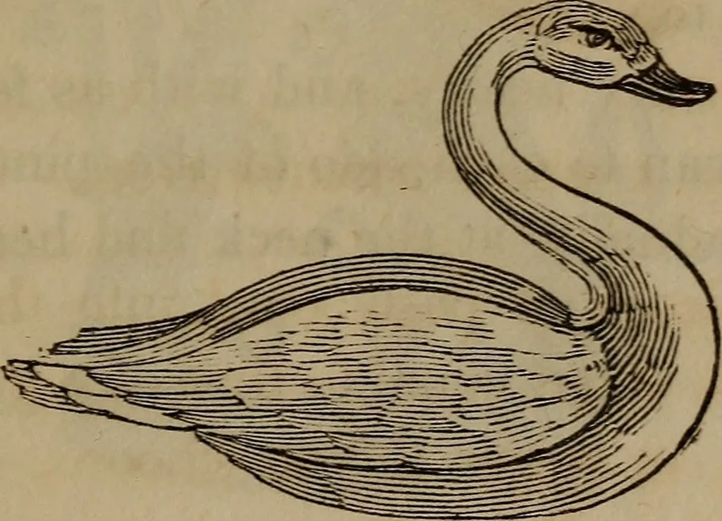An illustration from American girl's book: or, Occupation for play hours, 1831, leaf 268