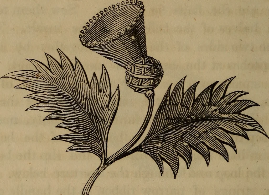 An illustration from American girl's book: or, Occupation for play hours, 1831, leaf 275