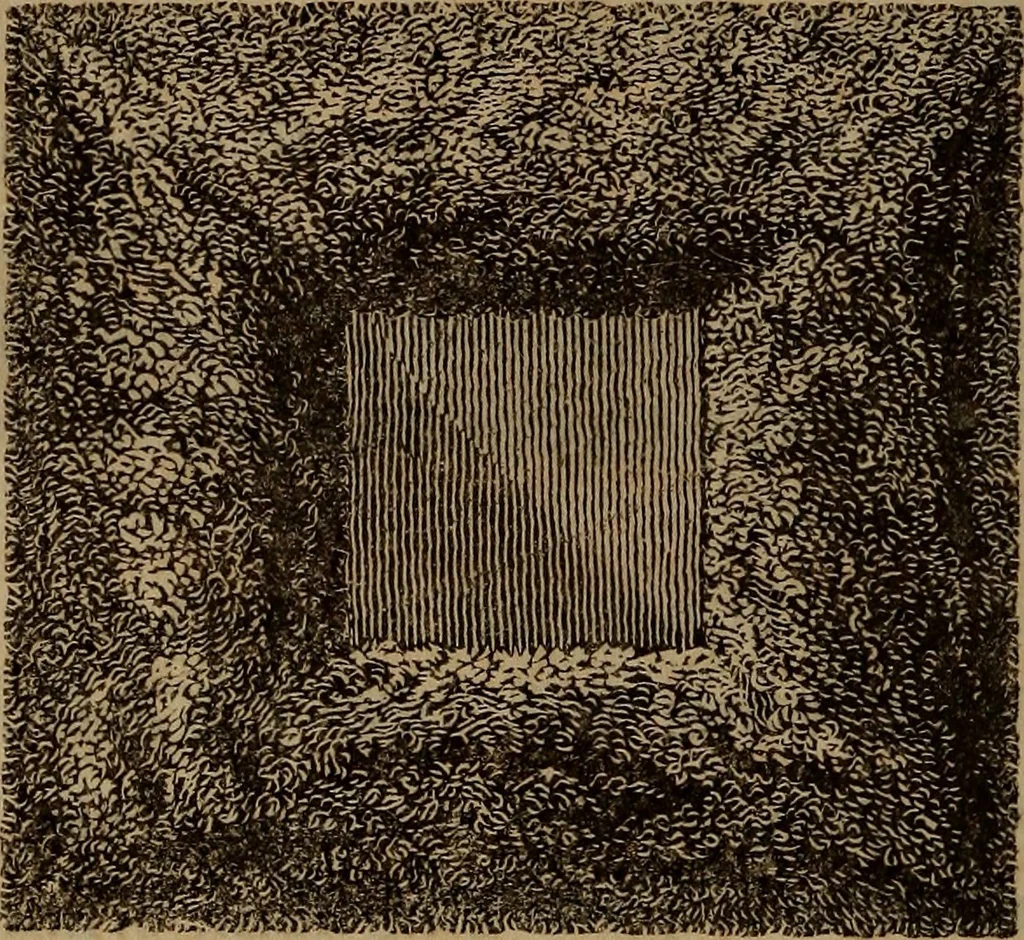 An illustration from American girl's book: or, Occupation for play hours, 1831, leaf 303