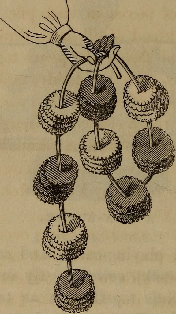 An illustration from American girl's book: or, Occupation for play hours, 1831, leaf 321