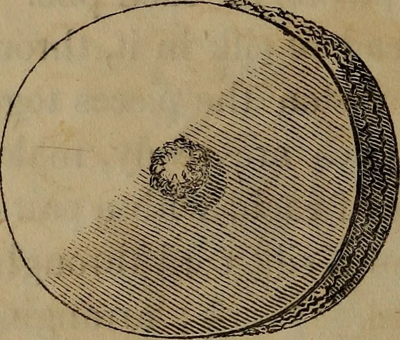 An illustration from American girl's book: or, Occupation for play hours, 1831, leaf 323