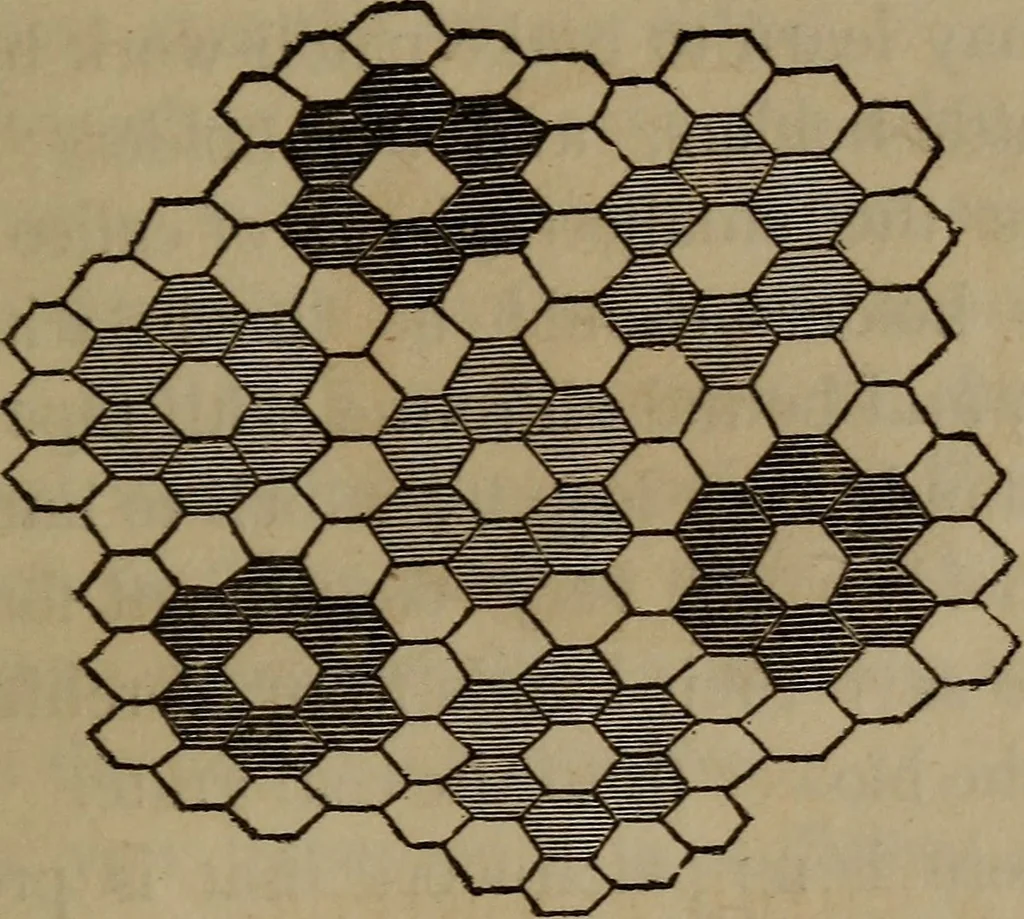 An illustration from American girl's book: or, Occupation for play hours, 1831, leaf 324