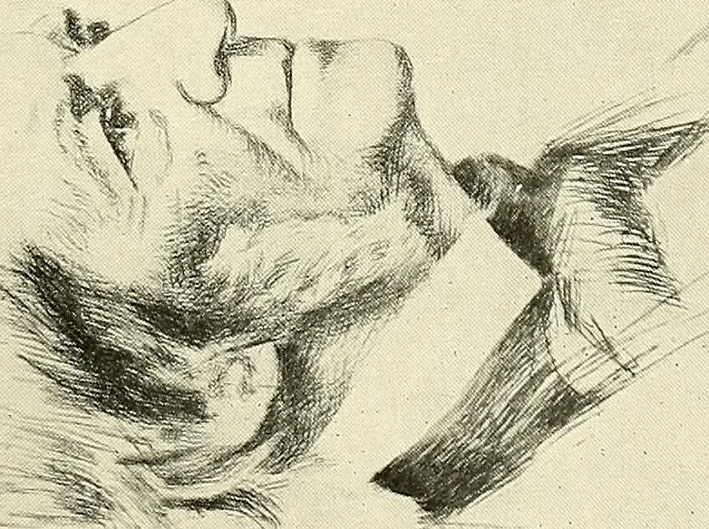 An illustration from American graphic art, 1912, leaf 70
