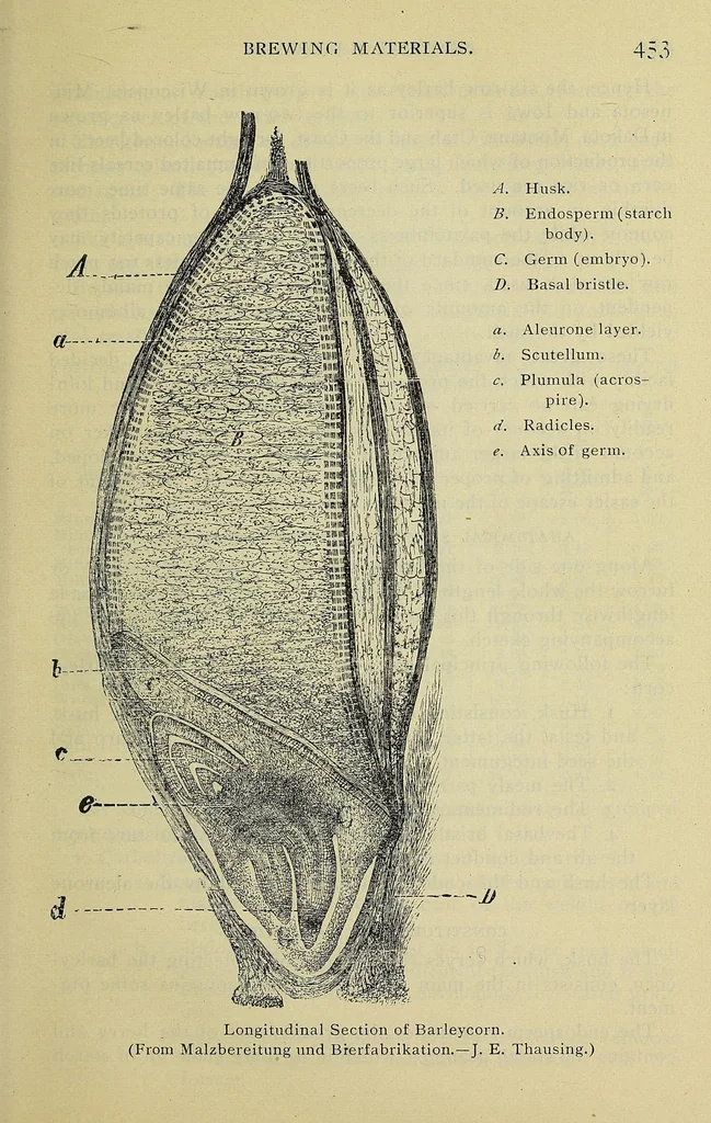 An illustration from American handy-book of the brewing, malting and auxiliary trades .., 1901, leaf 479