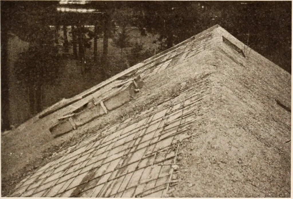 An illustration from American homes and gardens, 1905, leaf 102
