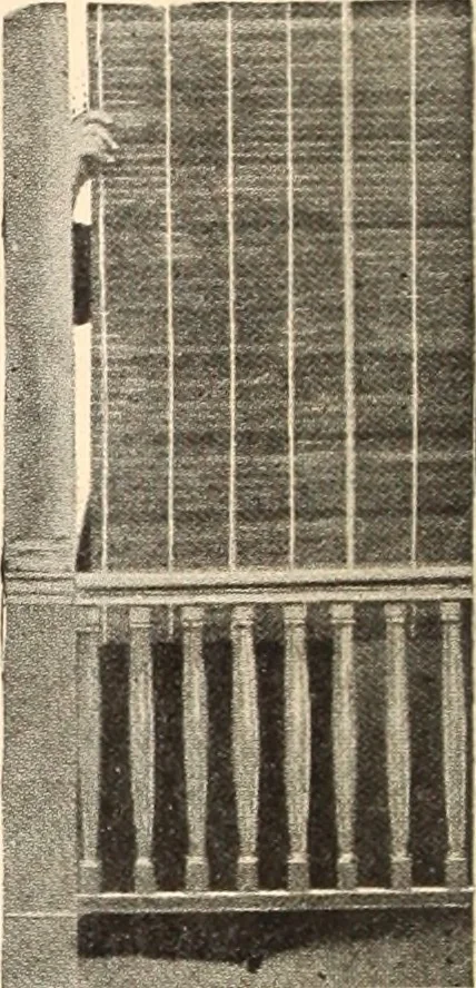 An illustration from American homes and gardens, 1905, leaf 11