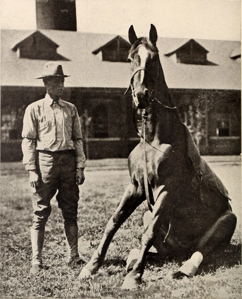 An illustration from American homes and gardens, 1905, leaf 117