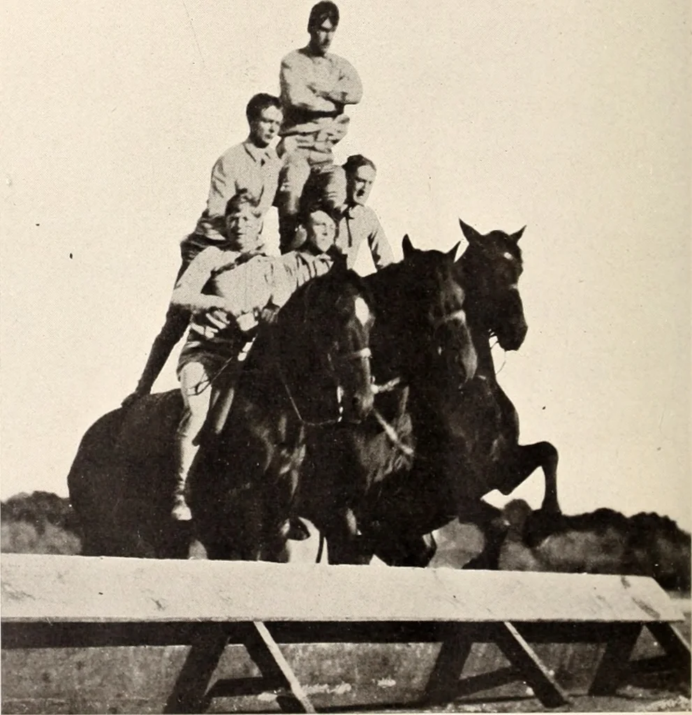 An illustration from American homes and gardens, 1905, leaf 117