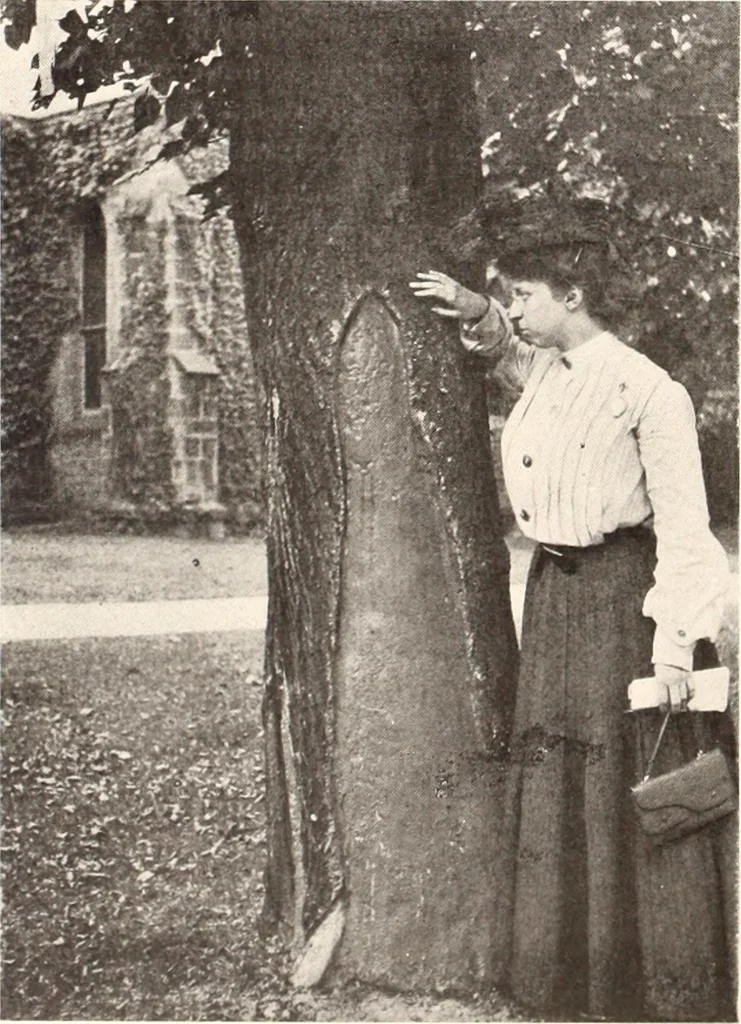 An illustration from American homes and gardens, 1905, leaf 119