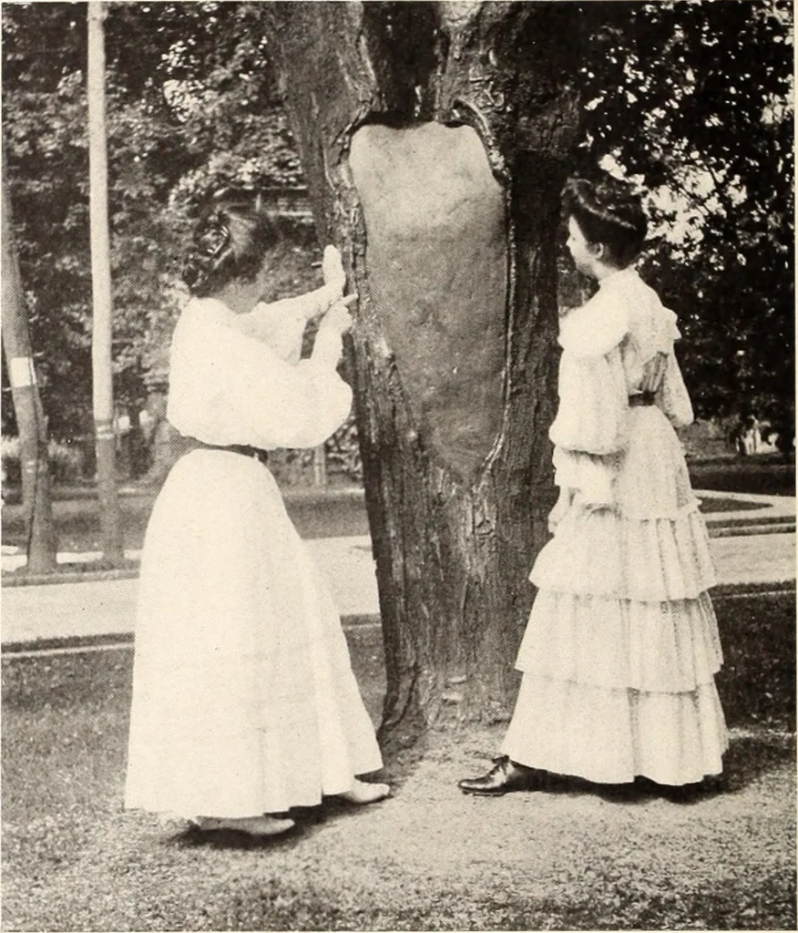 An illustration from American homes and gardens, 1905, leaf 119