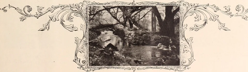 An illustration from American homes and gardens, 1905, leaf 124