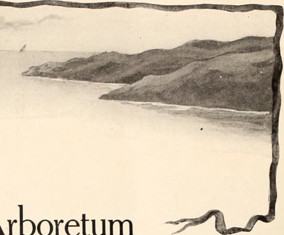 An illustration from American homes and gardens, 1905, leaf 125