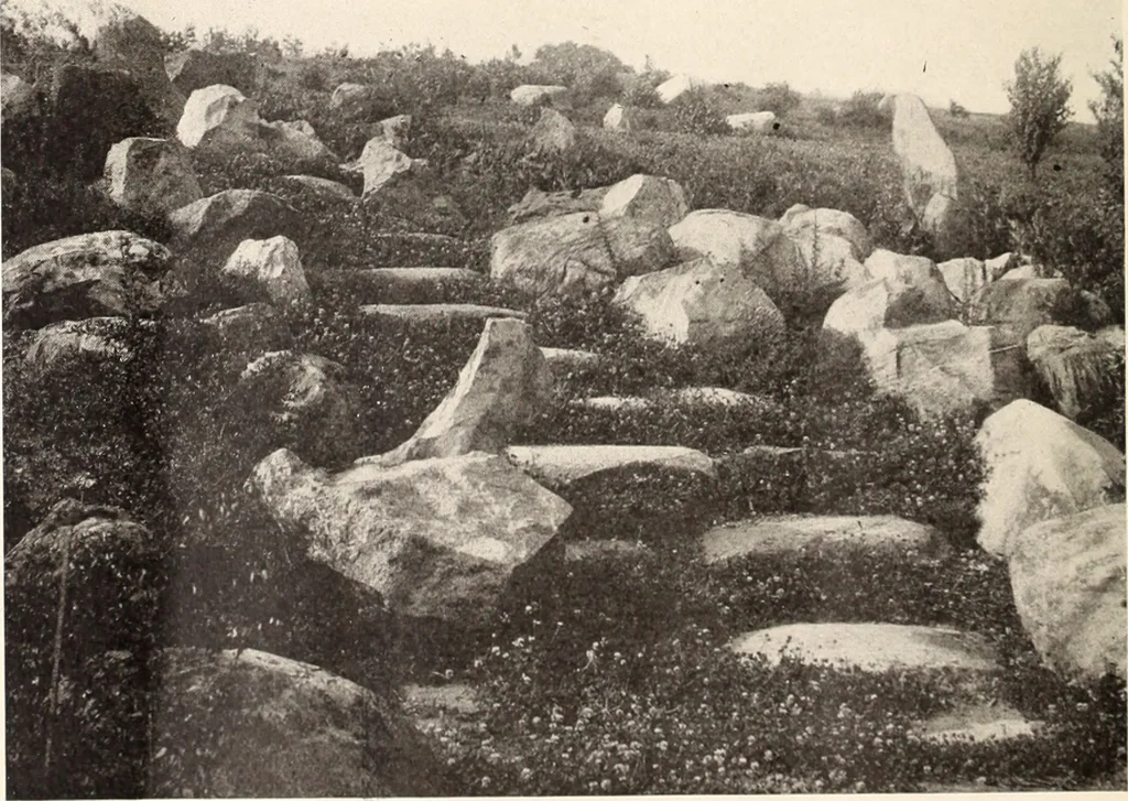An illustration from American homes and gardens, 1905, leaf 127