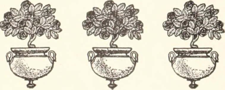 An illustration from American homes and gardens, 1905, leaf 137