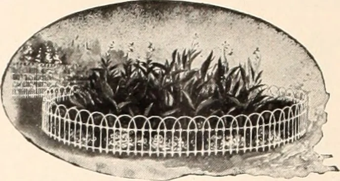 An illustration from American homes and gardens, 1905, leaf 137