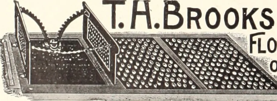An illustration from American homes and gardens, 1905, leaf 139