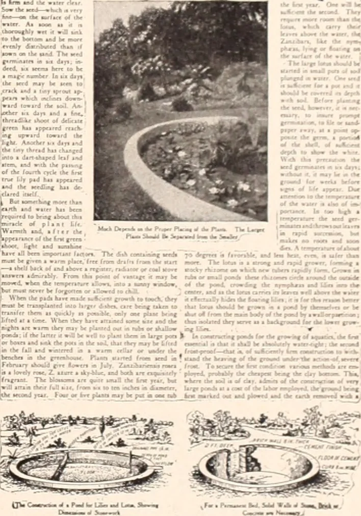 An illustration from American homes and gardens, 1905, leaf 144