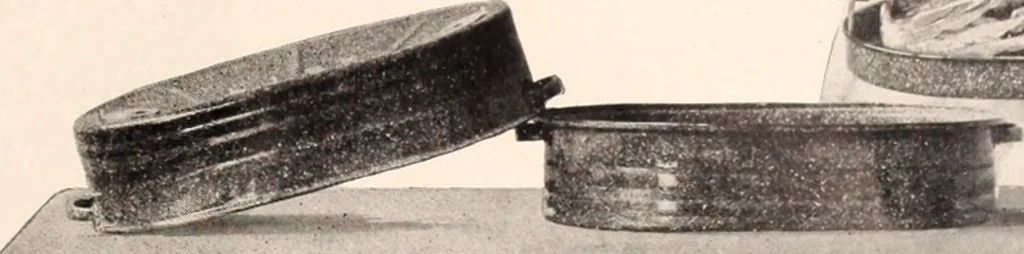 An illustration from American homes and gardens, 1905, leaf 146