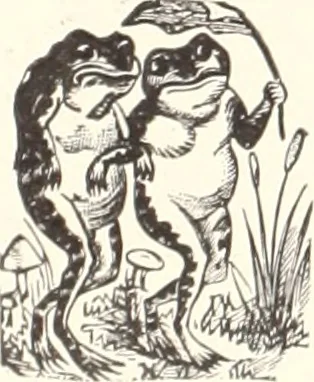 An illustration from American homes and gardens, 1905, leaf 15