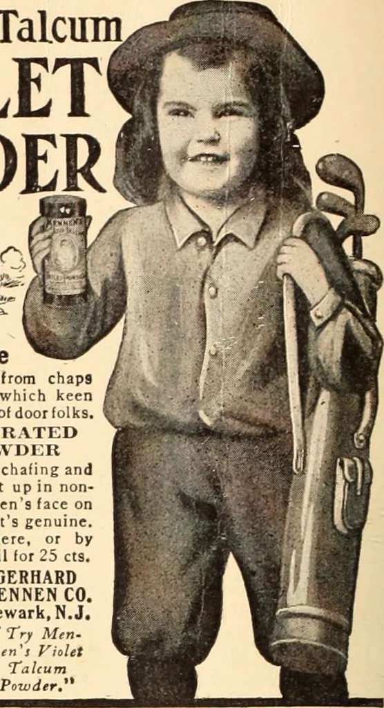 An illustration from American homes and gardens, 1905, leaf 155