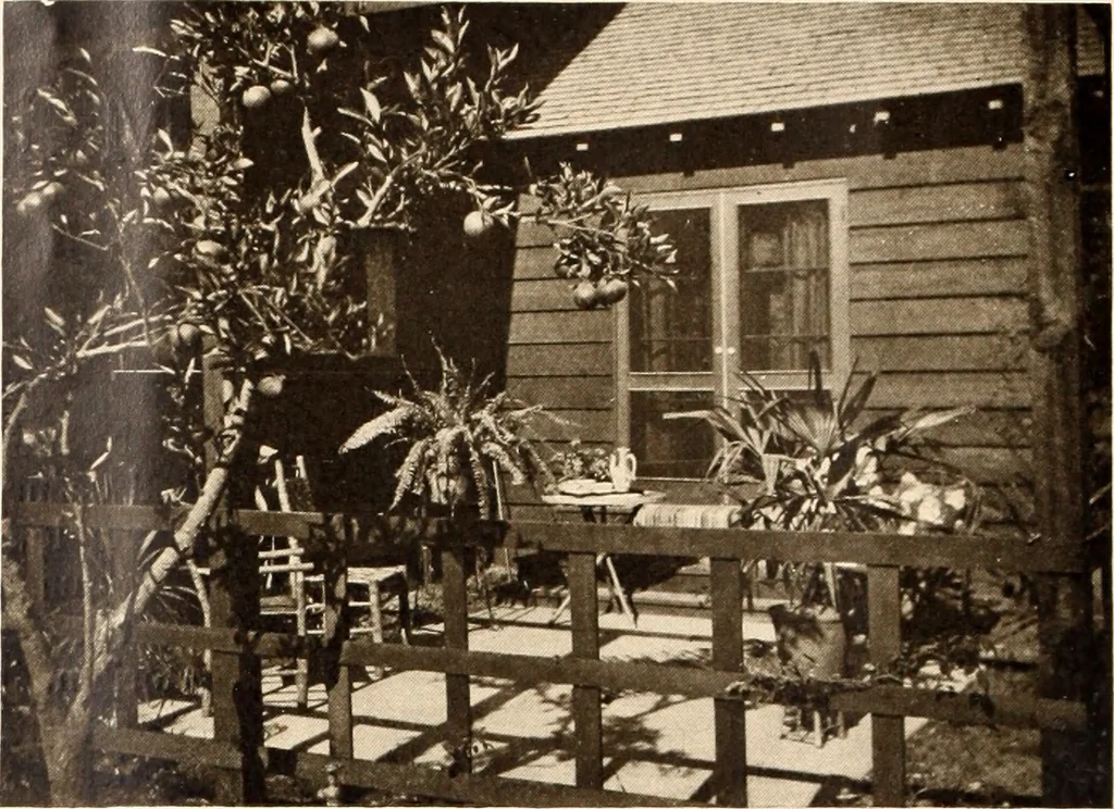 An illustration from American homes and gardens, 1905, leaf 173