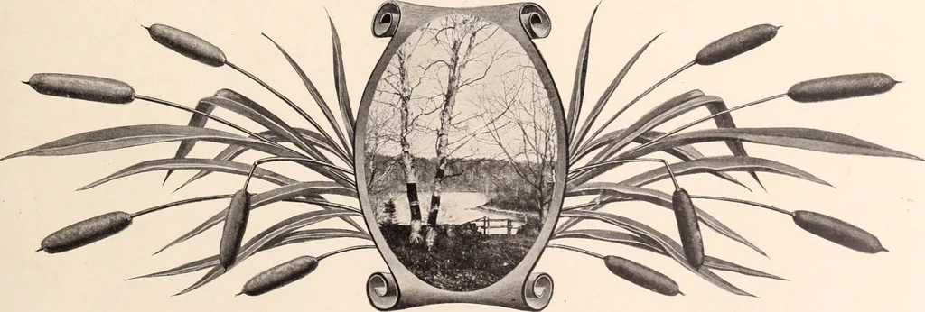 An illustration from American homes and gardens, 1905, leaf 180