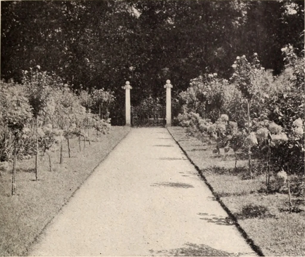 An illustration from American homes and gardens, 1905, leaf 186