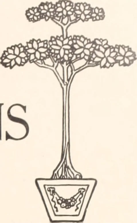 An illustration from American homes and gardens, 1905, leaf 20