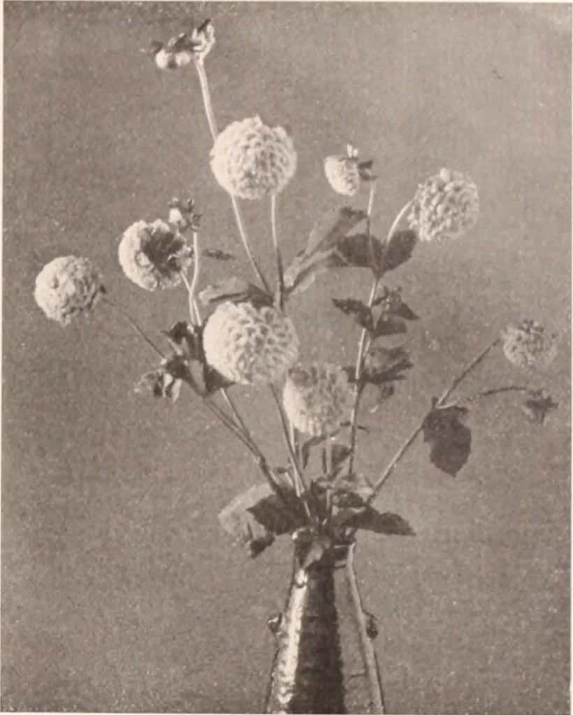 An illustration from American homes and gardens, 1905, leaf 202