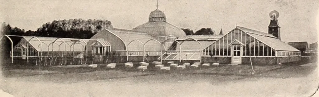 An illustration from American homes and gardens, 1905, leaf 208