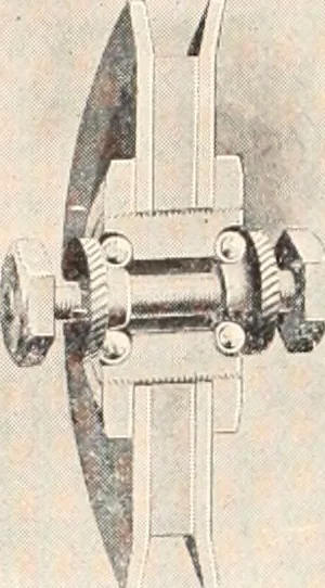 An illustration from American homes and gardens, 1905, leaf 215