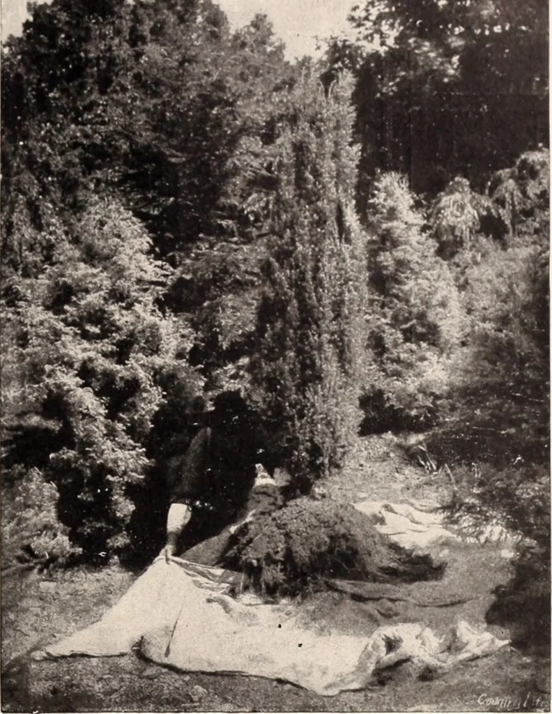 An illustration from American homes and gardens, 1905, leaf 222