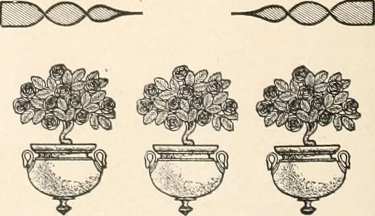 An illustration from American homes and gardens, 1905, leaf 231