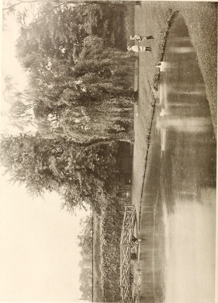 An illustration from American homes and gardens, 1905, leaf 237