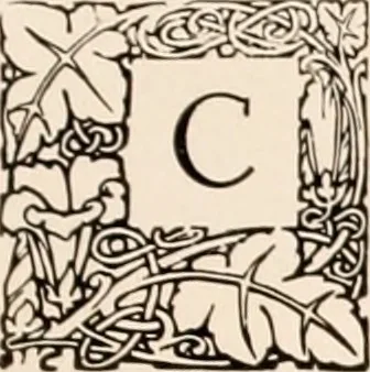 An illustration from American homes and gardens, 1905, leaf 24