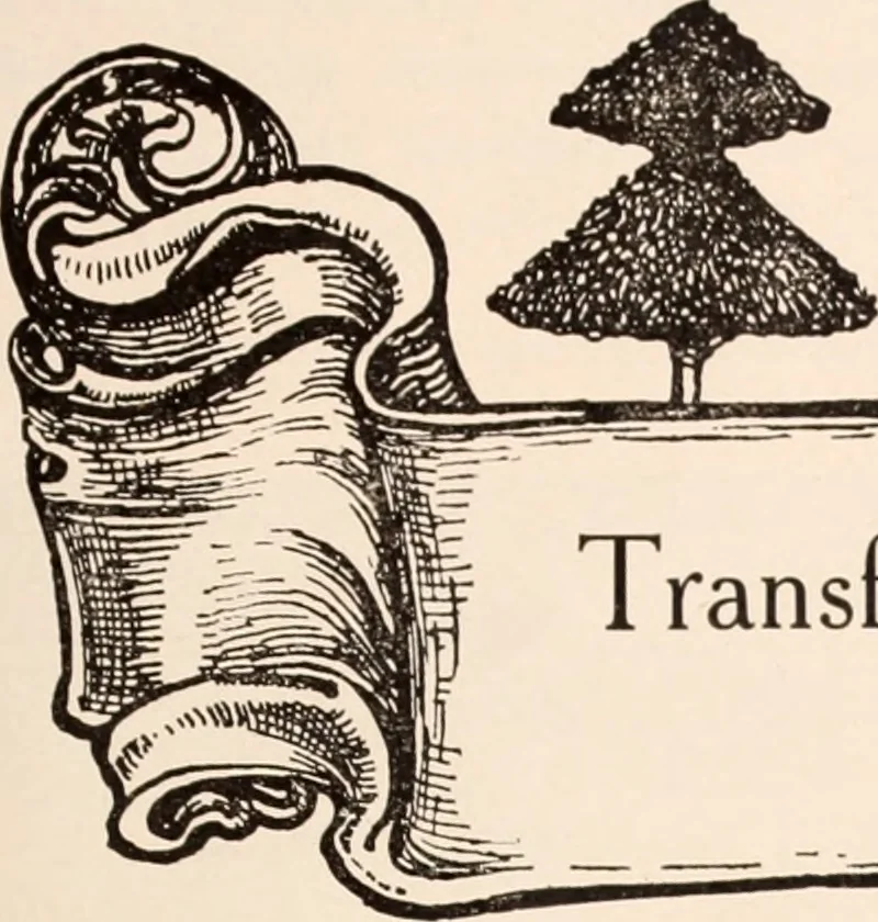 An illustration from American homes and gardens, 1905, leaf 248