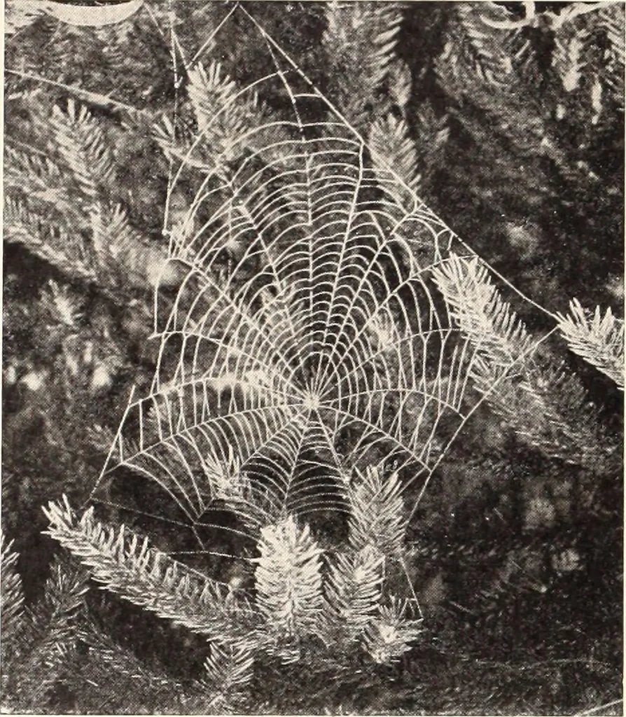 An illustration from American homes and gardens, 1905, leaf 261